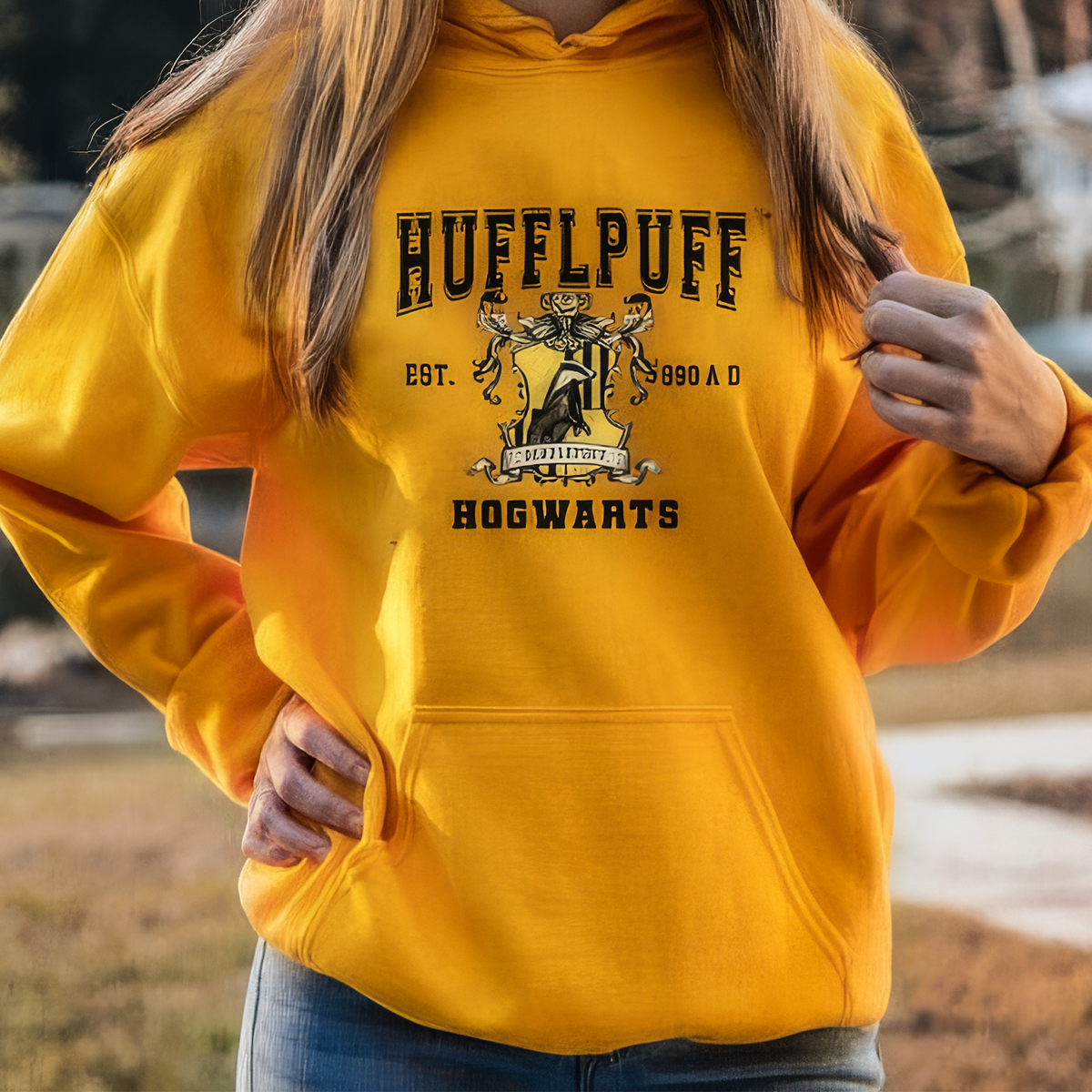 Pull ras du cou Harry Potter Poudlard Quatre Maisons, cadeau pour tous, HC-104