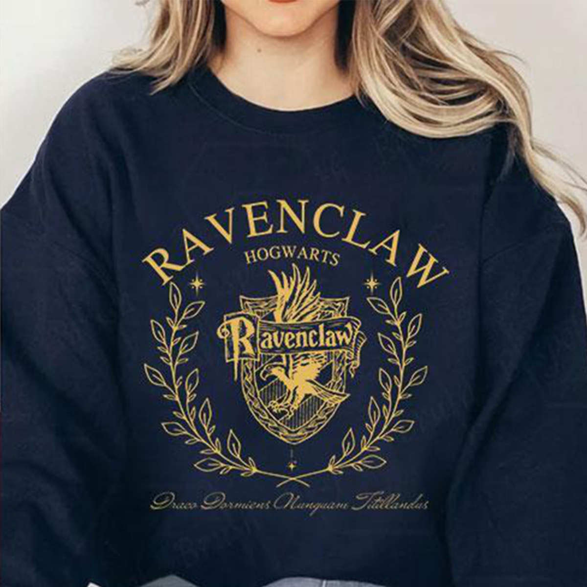 Vintage Hogwarts Houses Crewneck,Harry Potter Hoodie,H-C-175