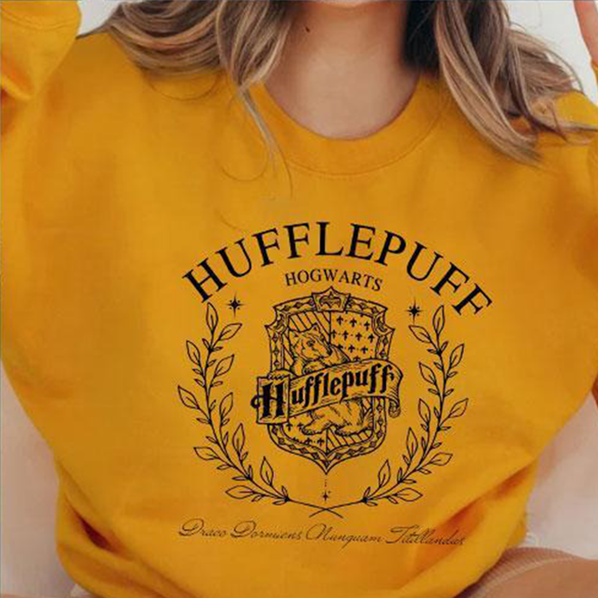 Pull ras du cou Harry Potter Poudlard Quatre Maisons, cadeau pour tous, HC-104