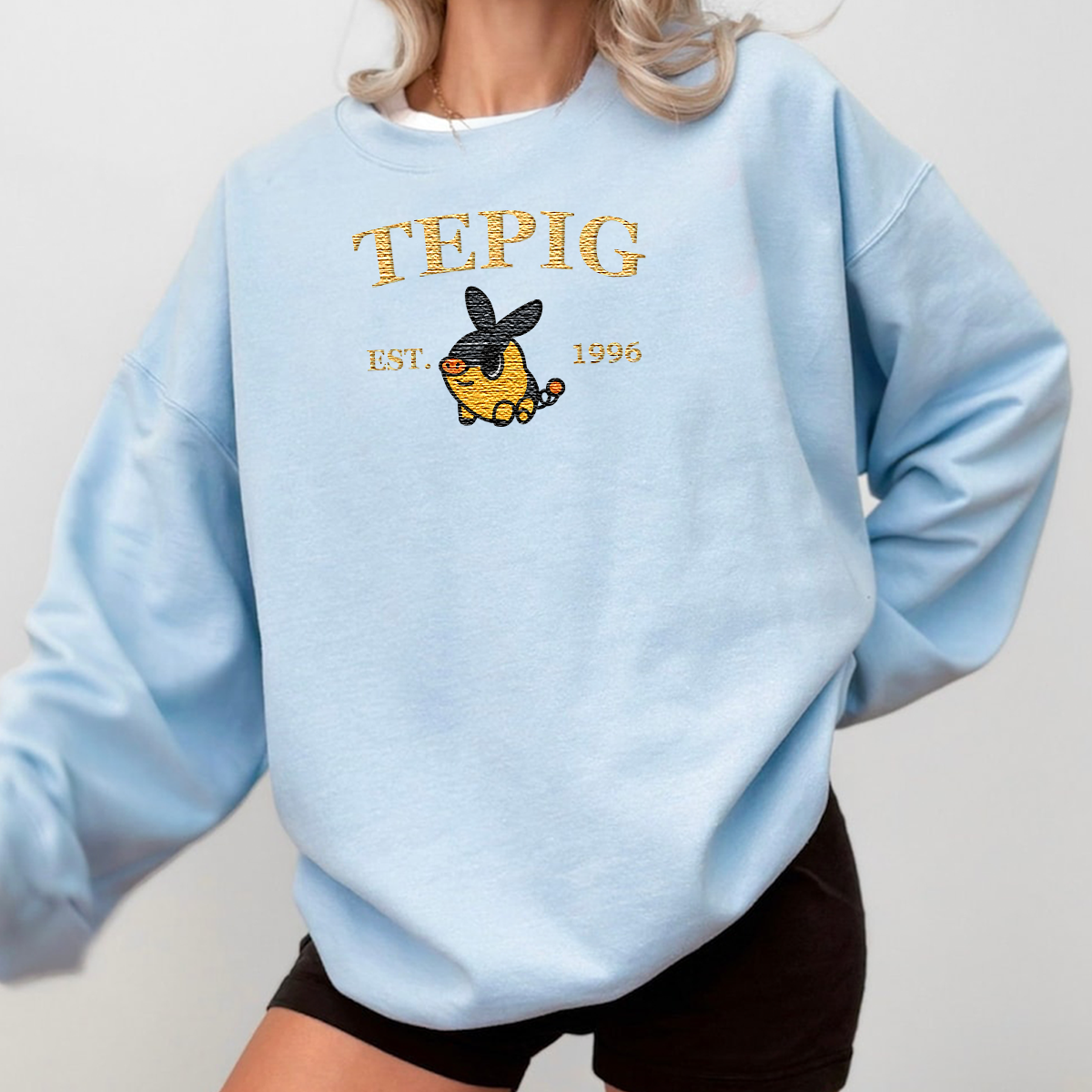 Tepig-Q. Anime Characters Embroidered Unisex T-Shirt,Crewneck,Hoodie For Gift,H-C-957