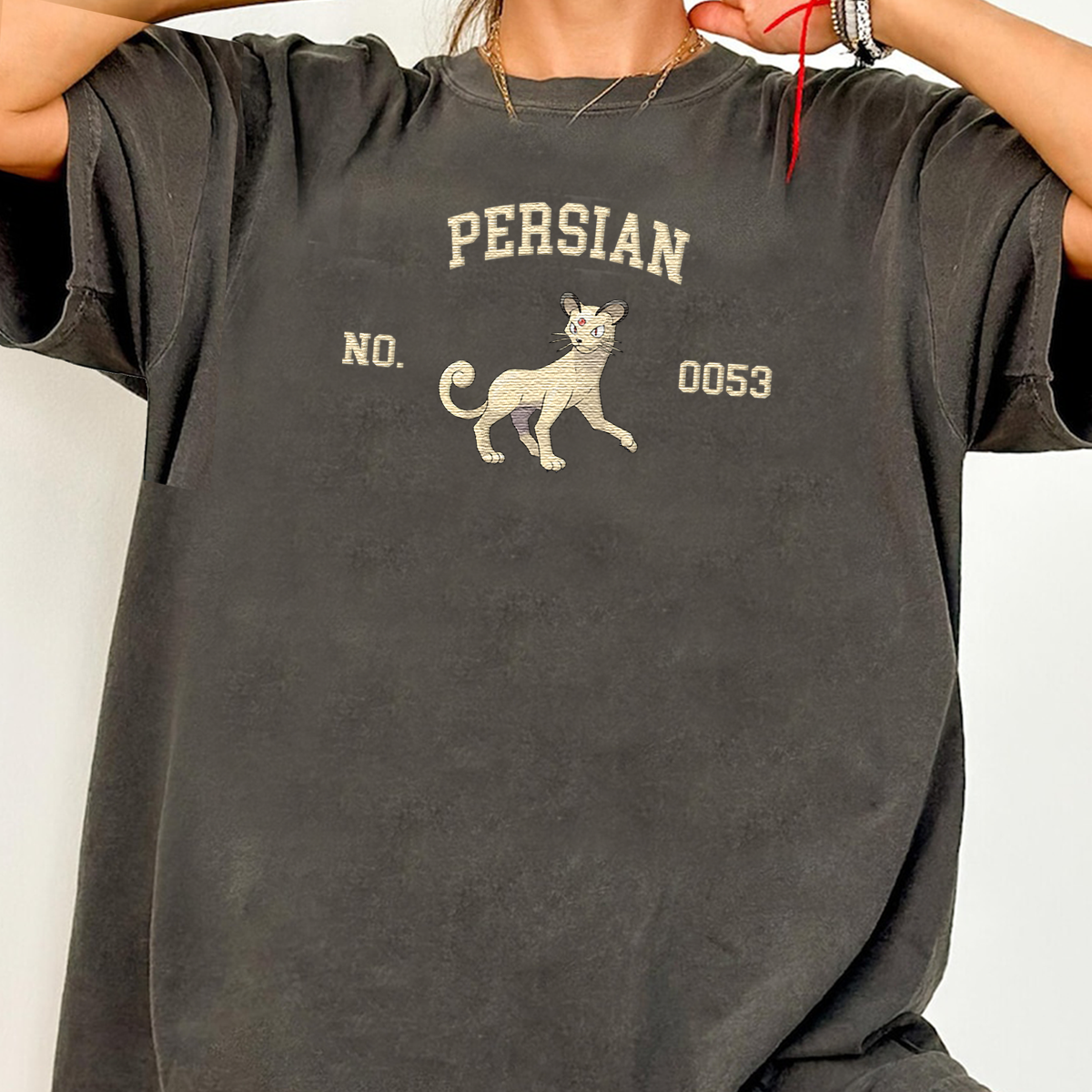 Persian Adorable Anime-Themed Embroidered T-Shirt,Crewneck,Hoodie-Trendy Versatile and a Thoughtful Gift for Friends,H-C-1523