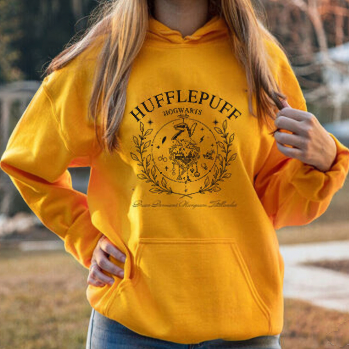 Wizard Harry Potter Hogwarts Houses Shirts,Crewneck,Bookie Hoodie,H-C-170
